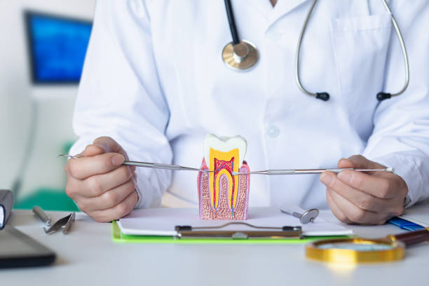 Best Emergency Treatment for Toothache in Chapel Hill, NC